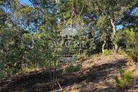 Excellent investment opportunity in Canha – Montijo