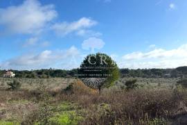 Excellent investment opportunity in Canha – Montijo