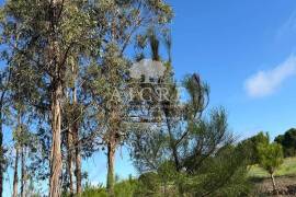 Excellent investment opportunity in Canha – Montijo