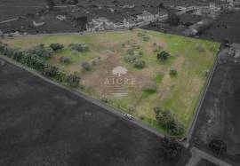 Unique Investment Opportunity in Alentejo