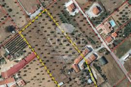 Farm located in Foros da Fonte Seca