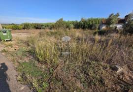 Chouto near Chamusca