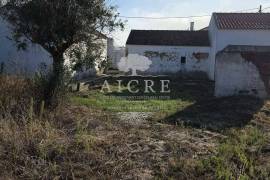 Chouto near Chamusca