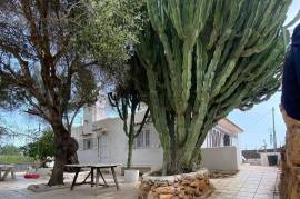 Villa Estate of 2 Houses For Sale in Playa Den Bossa Ibiza