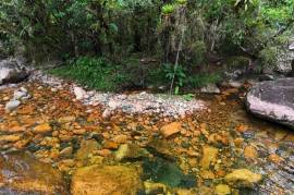 Excellent Plot of land for sale in Pedra Branca do Araraquara Parana