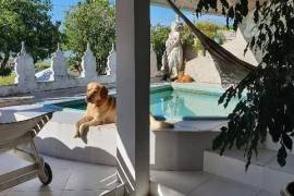 Estate of 14 Colonial-Style Houses for Sale in Canavieiras, Bahia,