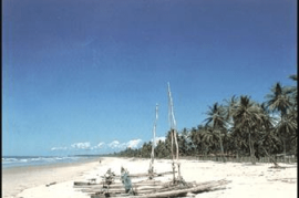 Estate of 14 Colonial-Style Houses for Sale in Canavieiras, Bahia,