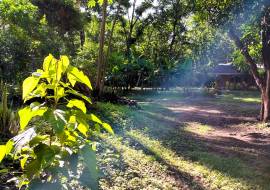 2 Brand New Homes For Sale in Vainilla Costa