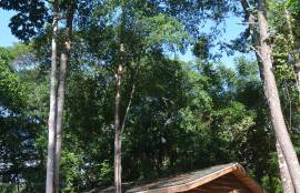 2 Brand New Homes For Sale in Vainilla Costa