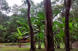 2 Brand New Homes For Sale in Vainilla Costa