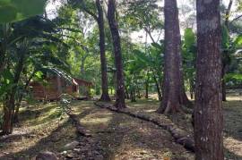 2 Brand New Homes For Sale in Vainilla Costa