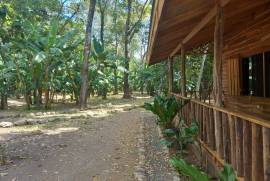 2 Brand New Homes For Sale in Vainilla Costa