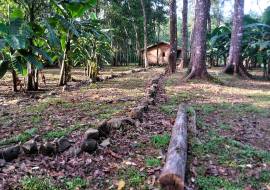 2 Brand New Homes For Sale in Vainilla Costa