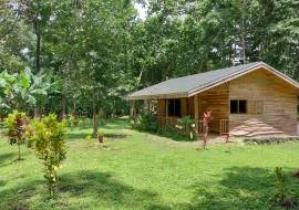 2 Brand New Homes For Sale in Vainilla Costa