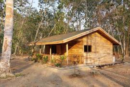 2 Brand New Homes For Sale in Vainilla Costa