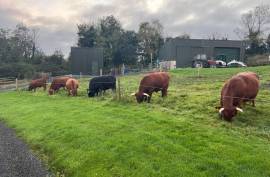 Derrymore Glen: An Architectural 350 m² Masterpiece on a 30-Acre Estate Panoramic Views