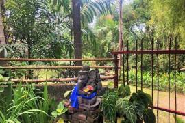 Excellent Plot of land for sale in Bali Indonesia Excellent Plot of land for sale in Bali Indonesia