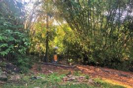 Excellent Plot of land for sale in Bali Indonesia Excellent Plot of land for sale in Bali Indonesia
