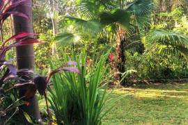 Excellent Plot of land for sale in Bali Indonesia Excellent Plot of land for sale in Bali Indonesia