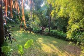 Excellent Plot of land for sale in Bali Indonesia Excellent Plot of land for sale in Bali Indonesia