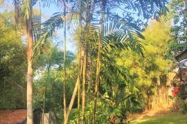 Excellent Plot of land for sale in Bali Indonesia Excellent Plot of land for sale in Bali Indonesia