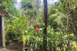 Excellent Plot of land for sale in Bali Indonesia Excellent Plot of land for sale in Bali Indonesia