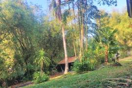 Excellent Plot of land for sale in Bali Indonesia Excellent Plot of land for sale in Bali Indonesia