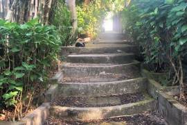 Excellent Plot of land for sale in Bali Indonesia Excellent Plot of land for sale in Bali Indonesia