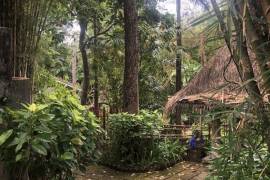 Excellent Plot of land for sale in Bali Indonesia Excellent Plot of land for sale in Bali Indonesia