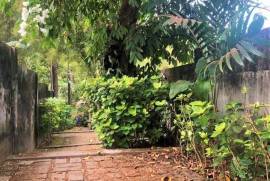 Excellent Plot of land for sale in Bali Indonesia Excellent Plot of land for sale in Bali Indonesia