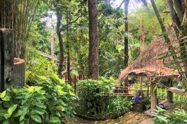 Excellent Plot of land for sale in Bali Indonesia Excellent Plot of land for sale in Bali Indonesia