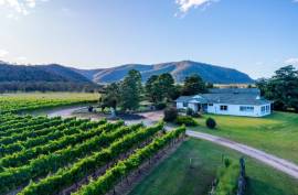 Vineyard Estate With 2 Stunning Homes For Sale In Broke