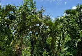 RH-119 2 Bed 1 Bath Apartment, Romney Park