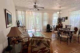 RH-350 Spacious 1 bed 1 bath apartment, Cane Garden Bay