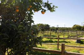 Olhão – 2-bedroom homestead in Moncarapacho with renovation potential Olhão – 2-bedroom homestead in Moncarapacho with renovation potential