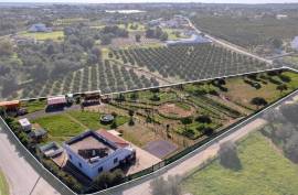 Olhão – 2-bedroom homestead in Moncarapacho with renovation potential