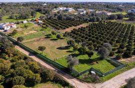 Olhão – 2-bedroom homestead in Moncarapacho with renovation potential Olhão – 2-bedroom homestead in Moncarapacho with renovation potential