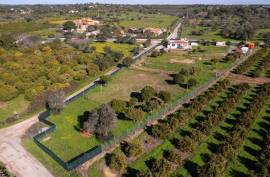 Olhão – 2-bedroom homestead in Moncarapacho with renovation potential Olhão – 2-bedroom homestead in Moncarapacho with renovation potential