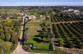 Olhão – 2-bedroom homestead in Moncarapacho with renovation potential Olhão – 2-bedroom homestead in Moncarapacho with renovation potential