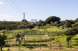 Olhão – 2-bedroom homestead in Moncarapacho with renovation potential Olhão – 2-bedroom homestead in Moncarapacho with renovation potential