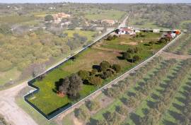 Olhão – 2-bedroom homestead in Moncarapacho with renovation potential Olhão – 2-bedroom homestead in Moncarapacho with renovation potential