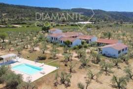 AZ394 - Azienda agricola agrituristica con 5,5 ettari uso oliveto e vigneto