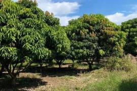 Land-Plot for sale in Bay-Of-Matanchen Mexico