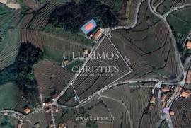 Quinta para venda com projeto aprovado no Douro Valley