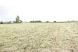 Detached Country Cottage with Character and Open View Detached Country Cottage with Character and Open View