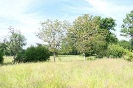 Two Separate Houses with Character Two Separate Houses with Character
