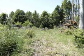 Building Plot For Sale in Lovely Setting