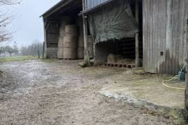 Farm House and Farm Complex Outbuildings with Land