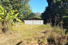 Detached Country House with Outbuilding and a Pond