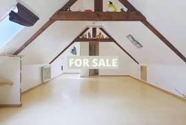 Detached Country House with Outbuilding and a Pond